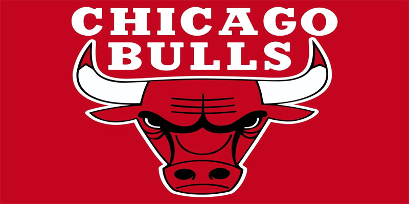 Chicago Bulls: Secrets Behind the Legendary NBA Dynasty